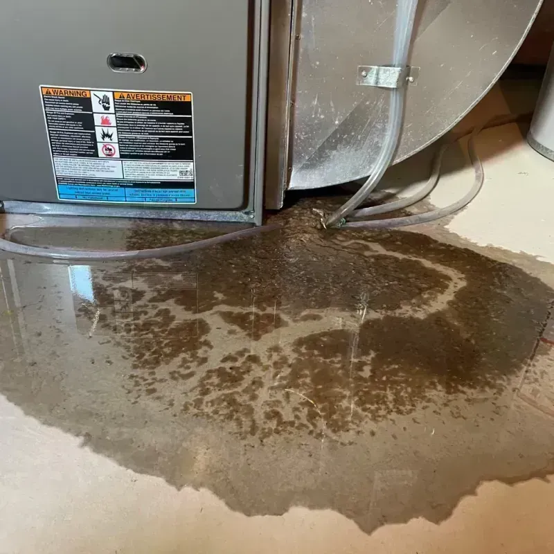 Appliance Leak Cleanup in Plainfield, NJ